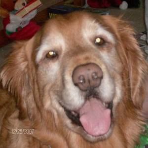 Meet your Posher, Lynn